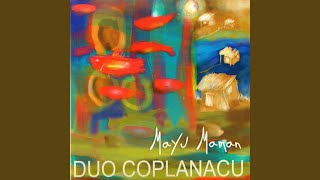 Video thumbnail of "Dúo Coplanacu - Flor del Olvido"