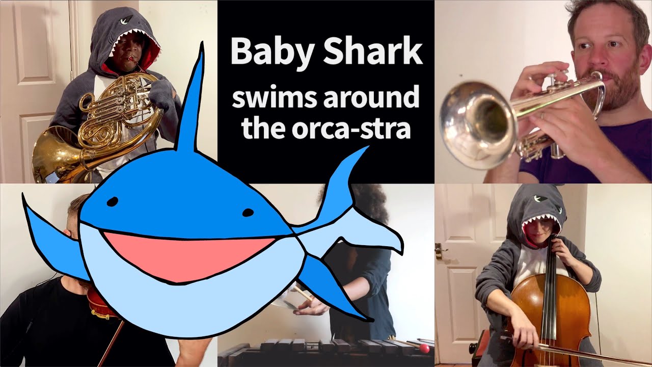 Bab Shar Shark Tambourin bébé