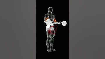 Ultimate Guide to Barbell Prone Incline Curls for Massive Biceps.