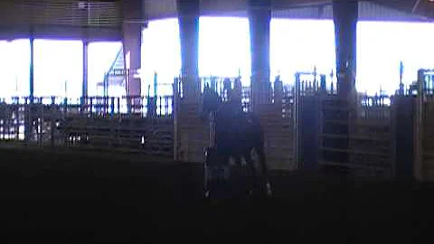Slade barrel racing at Edna,Tx