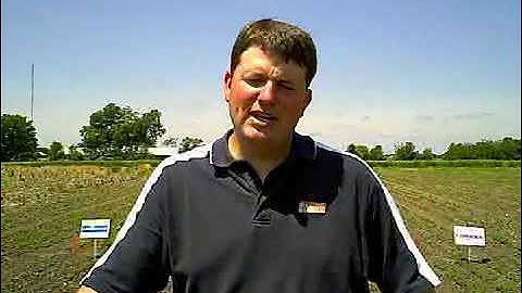 Learn to Identify Seedling Diseases in Soybeans