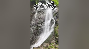 عبد الرحمن مسعد | الآية 40 من سورة التوبة| الا تنصروه فقد نصره الله
