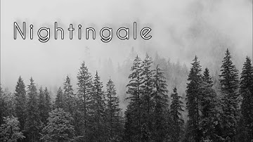 Nightingale by Demi Lovato (Cover)