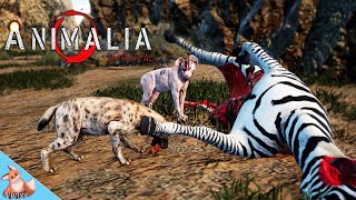 Giggles and laughs in the Hyena Clan | Animalia Survival