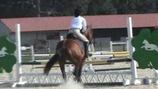 Pony Club C1 Rating 2010