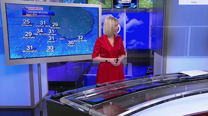 WLS Meteorologist Tracy Butler Responds to Animatr...