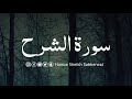 Surah Alam Nashrah | Ch # 94 | In heart touching voice of Hamza sheikh sabherwal #quranrecitation