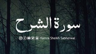 Surah Alam Nashrah | Ch # 94 | In heart touching voice of Hamza sheikh sabherwal #quranrecitation