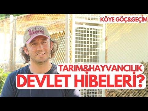 KÖYE GÖÇTÜN NASIL GEÇİNECEKSİN? TARIM ve HAYVANCILIK DEVLET HİBELERİ | A'dan Z'ye BAŞUCU VİDEOSU!