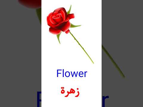 نطق زهرة باللغة الإنجليزية