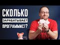 Сколько зарабатывает программист? Какая зарплата у джуна, мидла и сеньора?