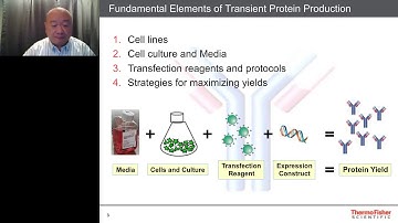 Basic Concepts in Transient Expression using 293 and CHO cells