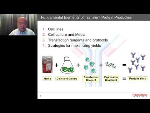 Video Basic Concepts in Transient Expression using 293 and... - youtube