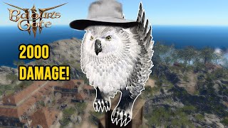 OWLBEARheimer in BG3