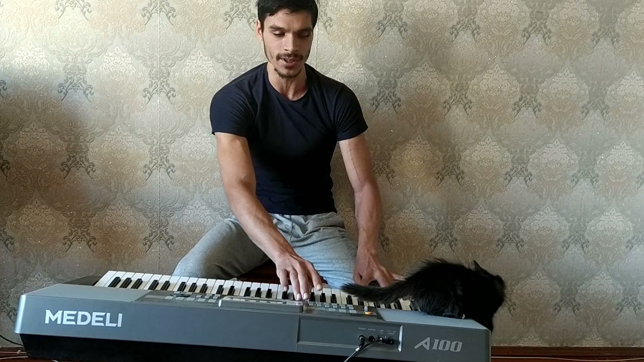 гнездо для китайских перепелов. перепелочка слова. белорусские народные песни текст. вечерами над речкою звонко перепелка поет до зари. перепел обыкновенный coturnix coturnix.