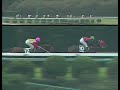 オグリキャップ 1989年 第35回産經賞オールカマー GIII 優勝馬 オグリキャップ 
