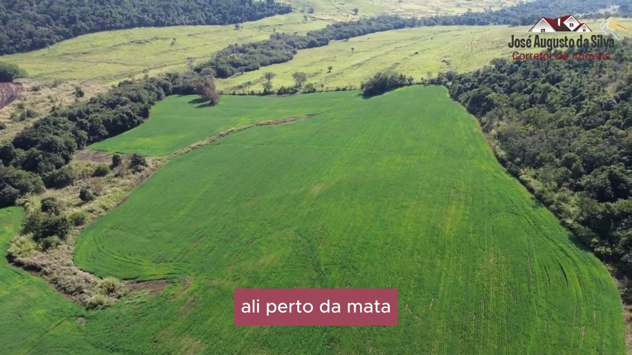 Sítio 4 Alqueires  à Venda em Santo Antônio da Platina-PR