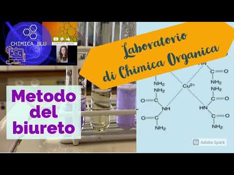 Laboratorio di chimica organica: metodo del Biureto per le proteine #laboratorio di chimica organica