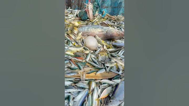 Wow‼️ Deep Sea Jackpot: Reeling in the Unexpected💢‼️