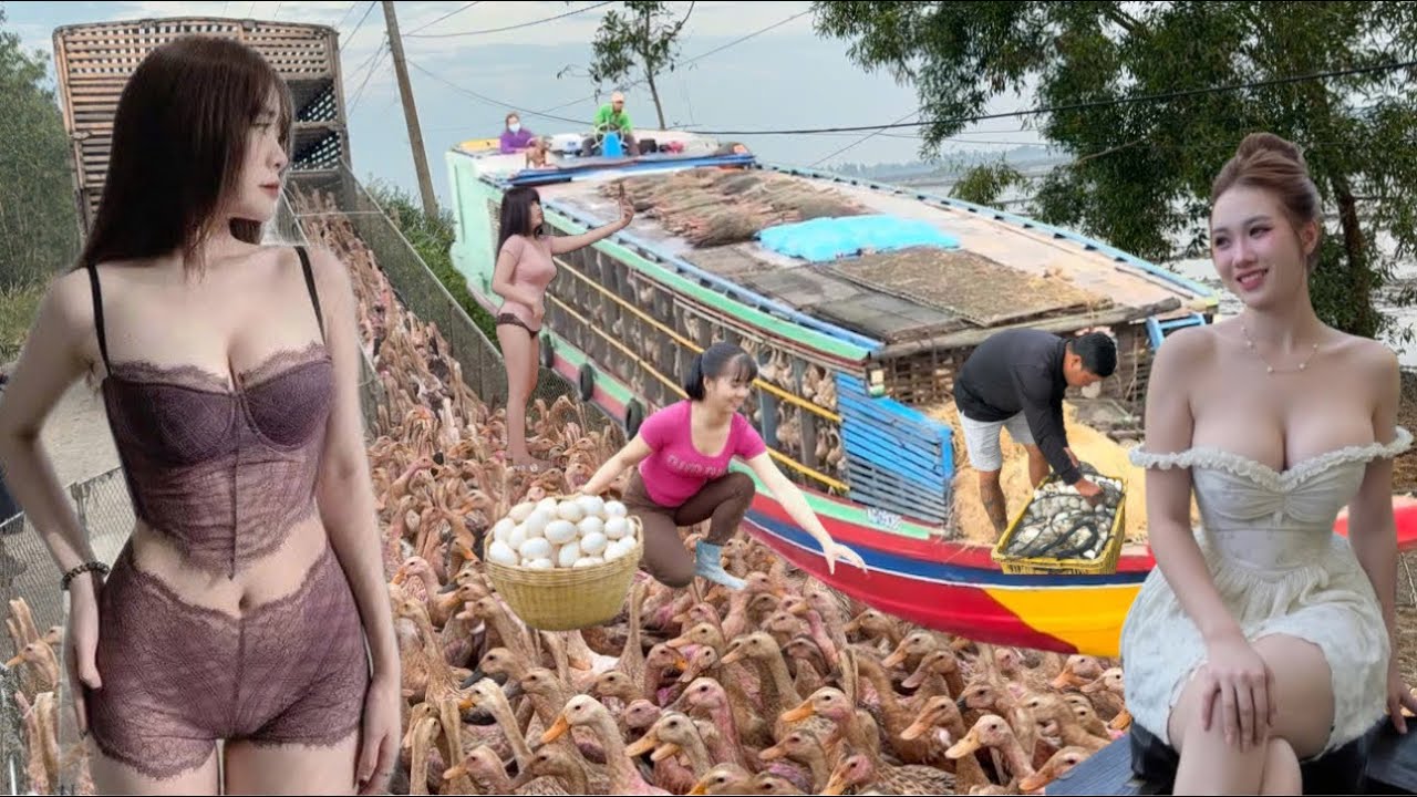 The close-up image shows a flock of ducks rushing across a field in search of food.
