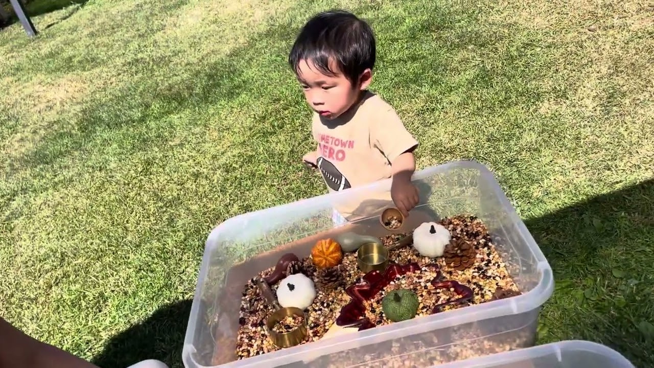 Bao fall sensory play at carmel mountain preschool
