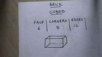 BUILDING WITH BRICKS | CLASS 4 MATHS | MORE ABOUT 3D SHAPES |