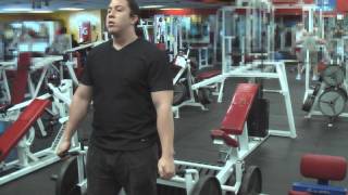 workout:  Shoulder Shrug