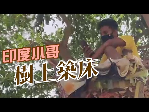 【on.cc東網】染疫青年搭竹床　樹上自我隔離11天