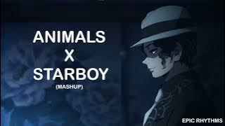 Animals X Starboy (Mashup) | Epic Rhythms