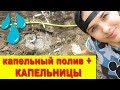 КАПЕЛЬНИЦА для растений! Система капельного полива. Капельный полив своими руками. Juliya