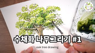 수채화 나무 그리기 업그레이드| 나무그리기 꿀팁 가득 | 유튜브 수채화 Class | 물고기아트 아뜰리에 - Youtube