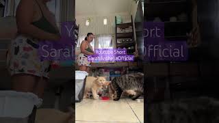 Makanan Buat Ank2 Berbulu