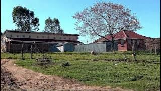 Bukela nanko umbona omhle #Ngcabasa yilala eXesi, apha kuvela intlambho ka Mbhalu no Ntembhe #2025