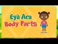 Yoruba Stars | Body Parts in Yoruba | Ẹ̀yà Ara ni Èdè Yorùbá