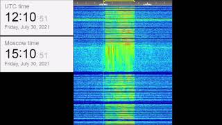 The Buzzer/UVB-76(4625Khz) July 30, 2021 Voice messages