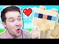 I Tamed a SKINLESS CAT in Minecraft Hardcore!