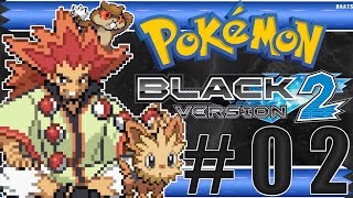 Many Different Species! POKÉMON BLACK 2 Gameplay Playthrough #2 - No Commentary HD 1080p