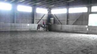 Film Wolki.wmv