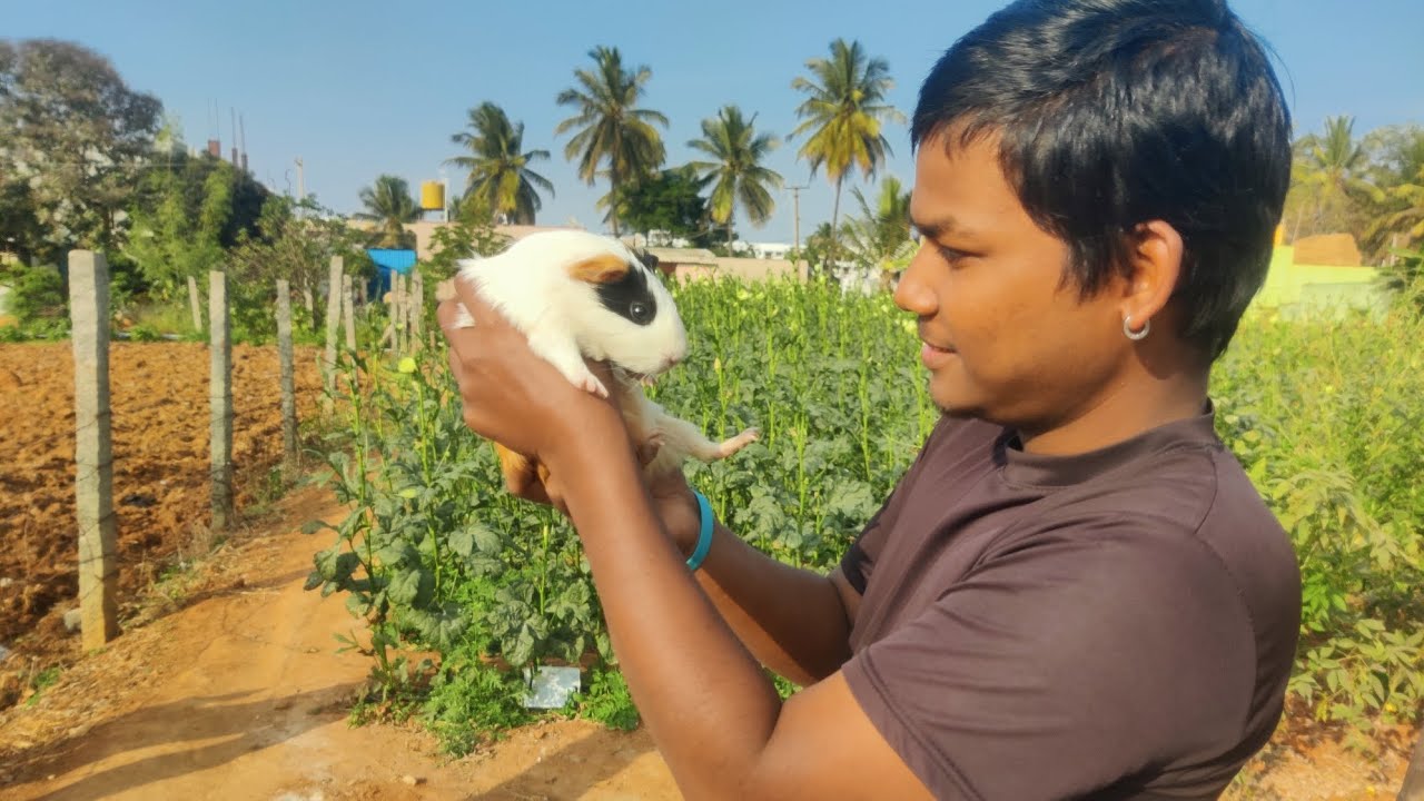 କାହିଁକି ରାଗୀଲା ଲୀଜା // Dipu&Family vlog 