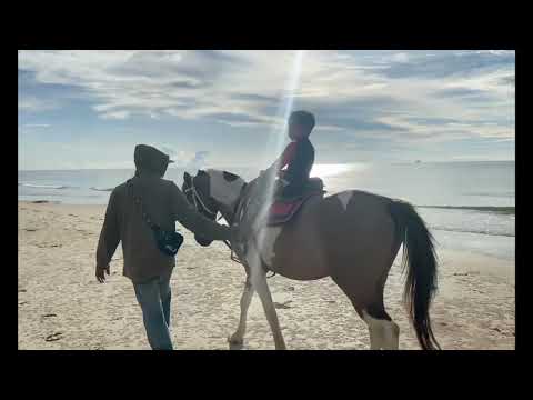 รีวิวข้าวปั้นขี่ม้าริมหาดไม้ดาแอซีหัวหิน