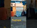 بنزرت تونس بحر قنطرة بنزرت الجزائر