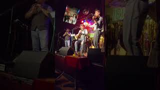 The Stout Scouts live #folk #fiddle #livemusic