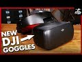 DJI Goggles Racing Edition Review | FLITE TEST