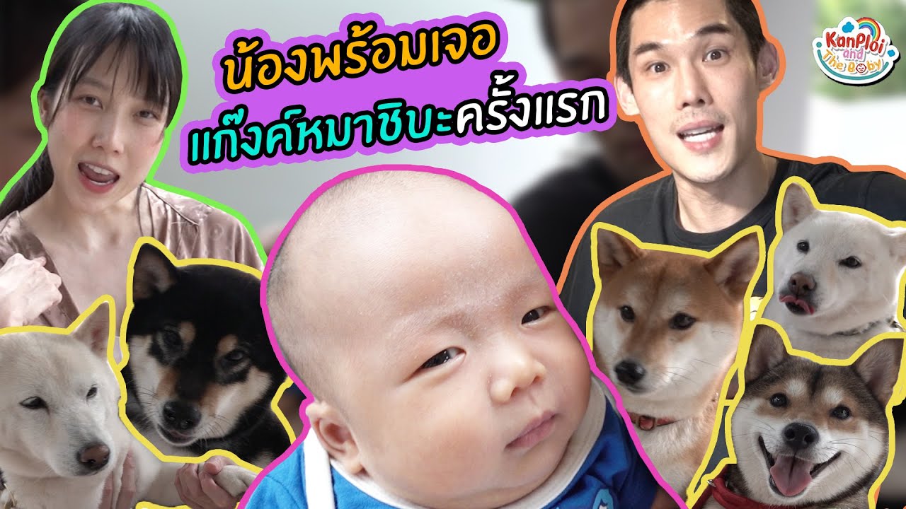 kanploiandthebaby - พาน้องพร้อมเจอแก๊งค์ชิบะครั้งแรก