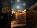 ASMR Cutting Raw Honeycomb 🍯