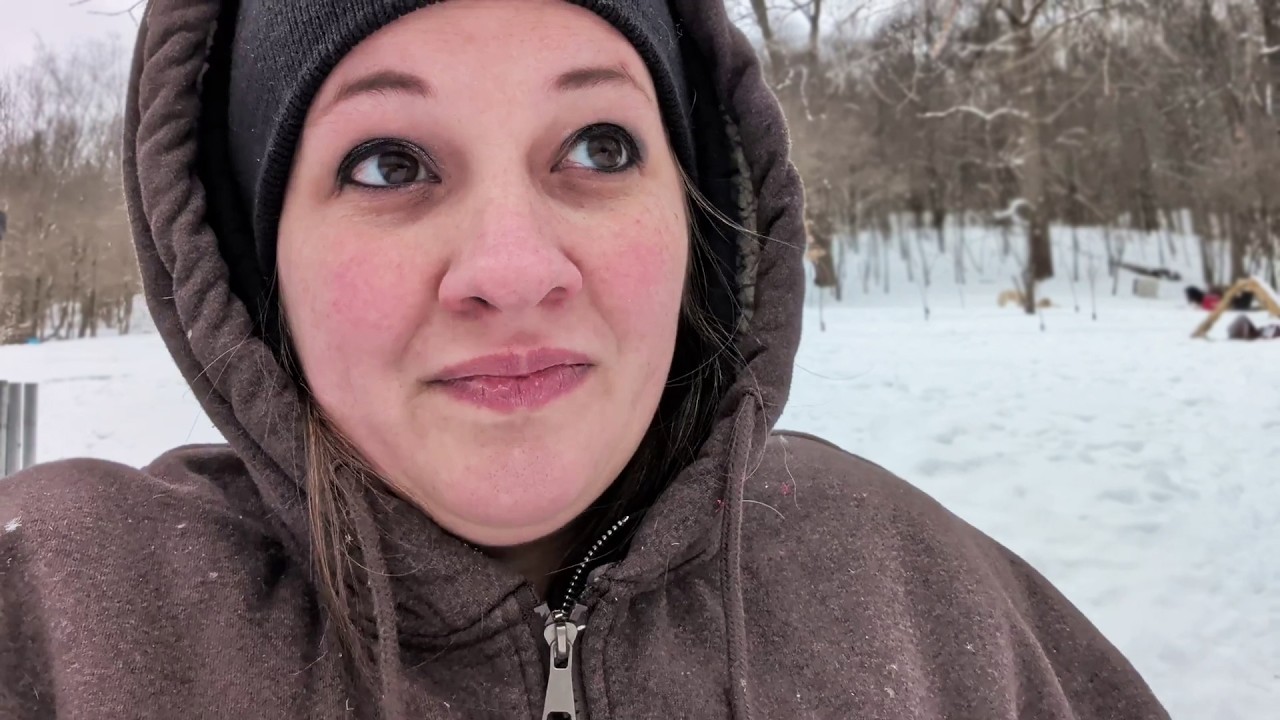 Почему у нас так много собак?????