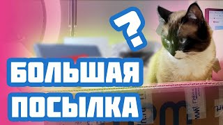 БОЛЬШАЯ ПОСЫЛКА С АРТ МАТЕРИАЛАМИ / Пожертвование в фонд обзоров от MPM