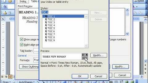 Word 2003 Tutorial Customizing a Table of Contents Microsoft Office Training Lesson 26.2