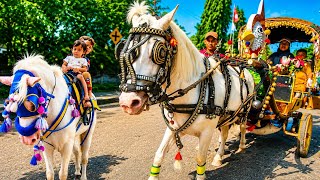 Riding a Horse-Drawn Carriage, Cheerful and Educational Children's Songs | Popular Indonesian Chi...