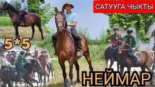 неймар чебер ат САТУУГА ЧЫКТЫ